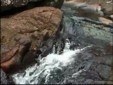 Noemi Takes Two Massive Cocks in Both Cock Sockets during a MMF DP small screenshot