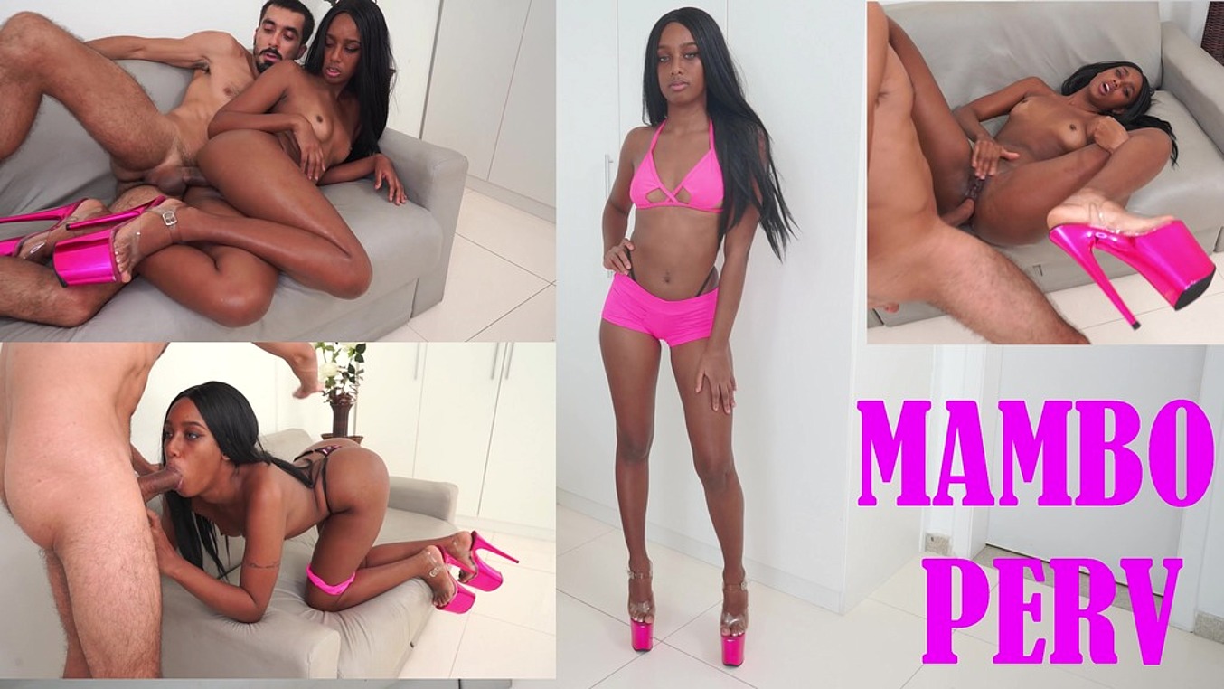 LegalPorno - Mambo Perv - Young supercute Brazilian ebony camgirl, Jasminy VILLAR introduced to real porn (Anal, perfect body, O% pussy, IR wmbg, minimum makeup) OB153